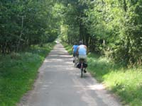 Der Walter-Hammer-Weg in Hamburg-Bergedorf - ruhige Wohnstraße im Stadtteil